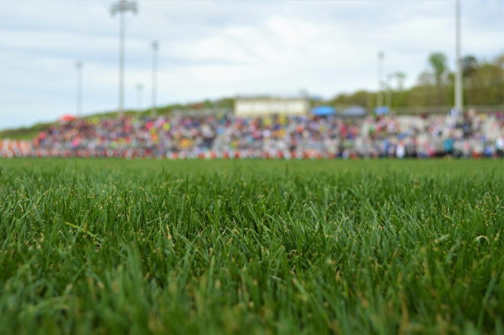 Field Background